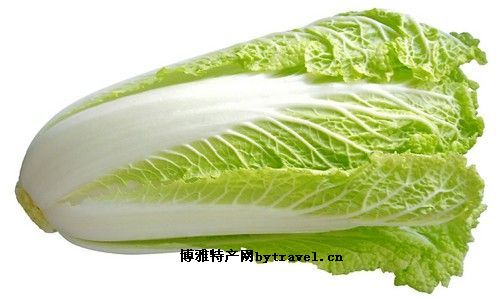 丁里白菜