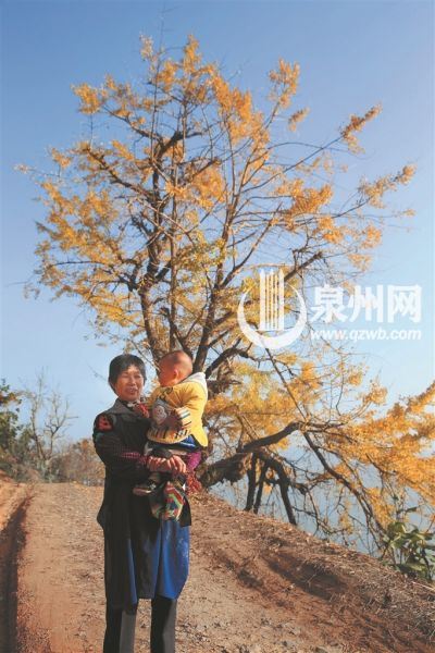 丁荣百年古银杏成就了村庄的童话，也见证了一代又一代山里人的生活变迁。