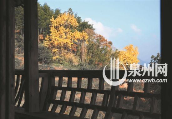 凭栏赏秋，流连忘返。 
