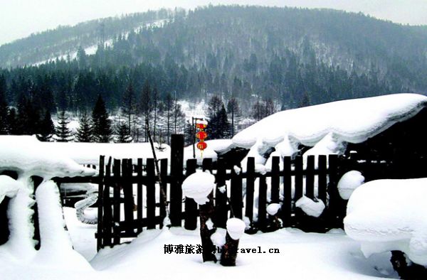 顿村国际滑雪